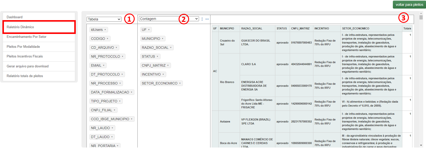 Layout Relatorio Dinâmico